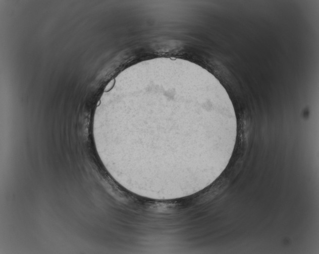 X0000115800664200912241854