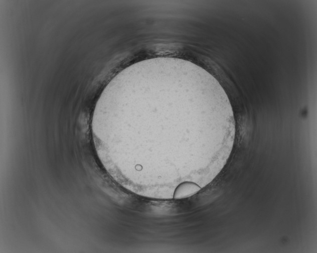 X0000115800667200912241854