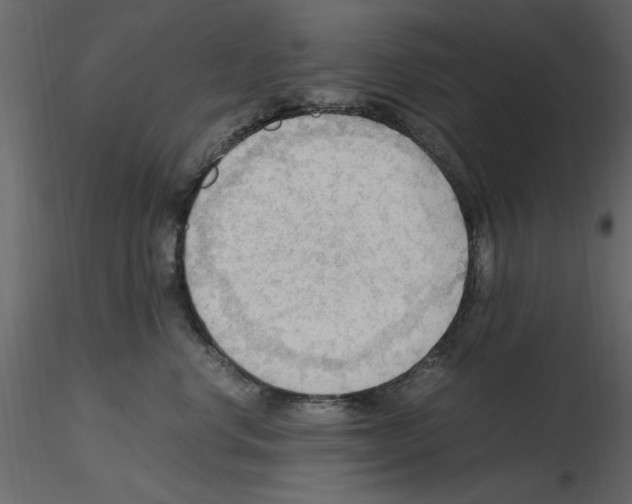 X0000115800668200912241854