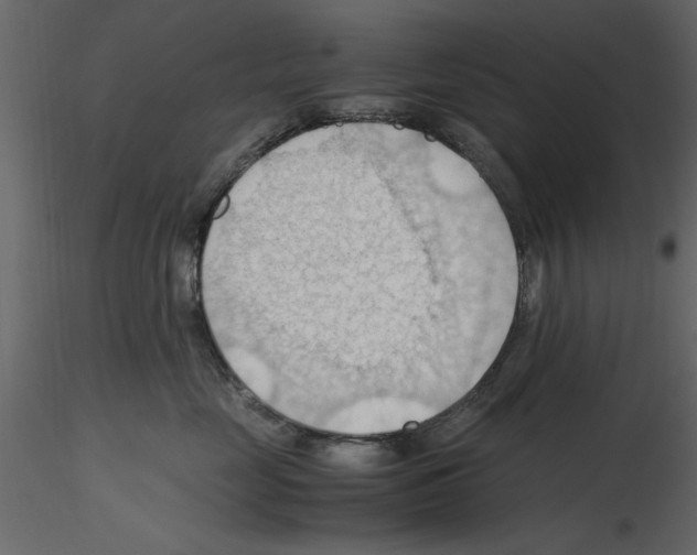 X0000115800669200912241854