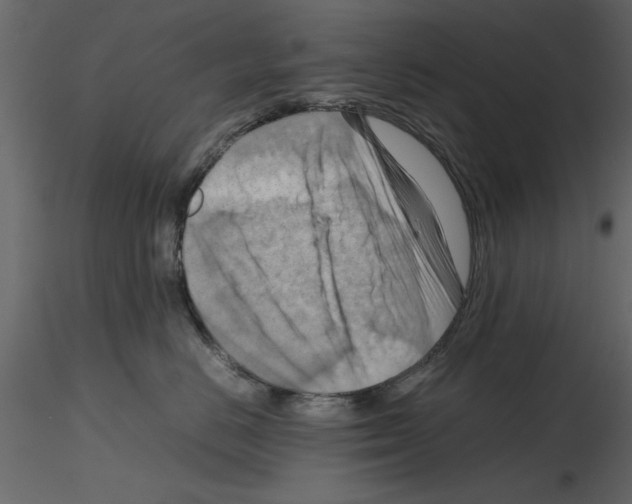 X0000115800670200912241854