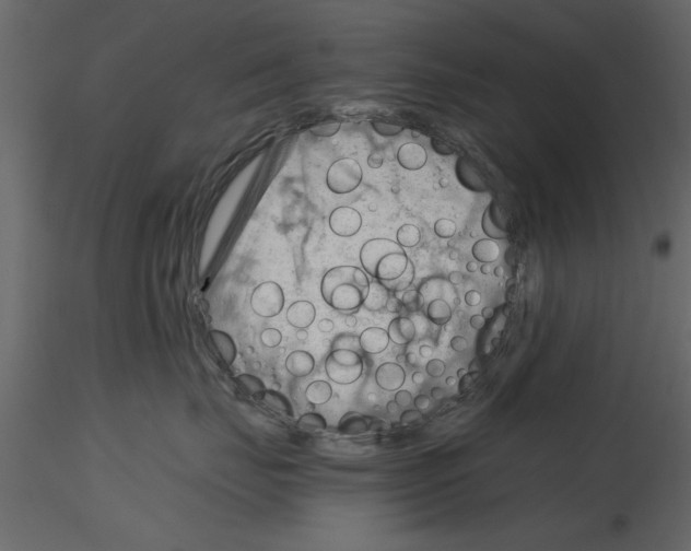 X0000115800671200912241854