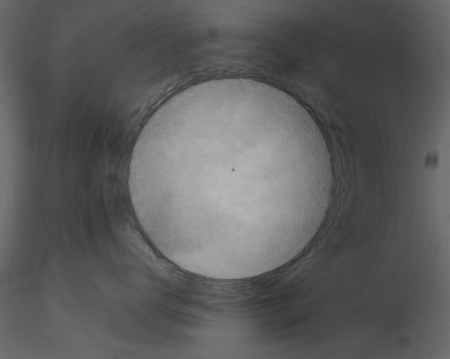 X0000115800672200912241854