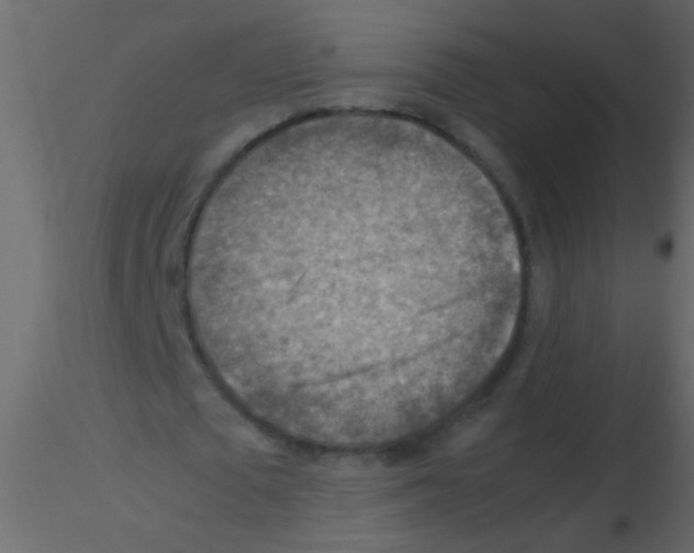 X0000115800673200912241853