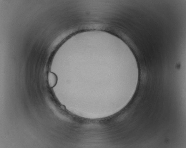 X0000115800674200912241853