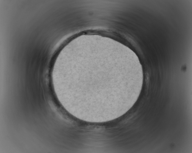 X0000115800676200912241853