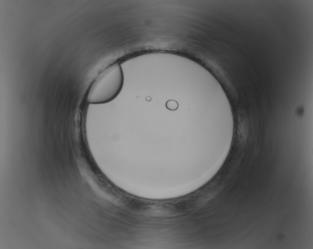 X0000115800678200912241853