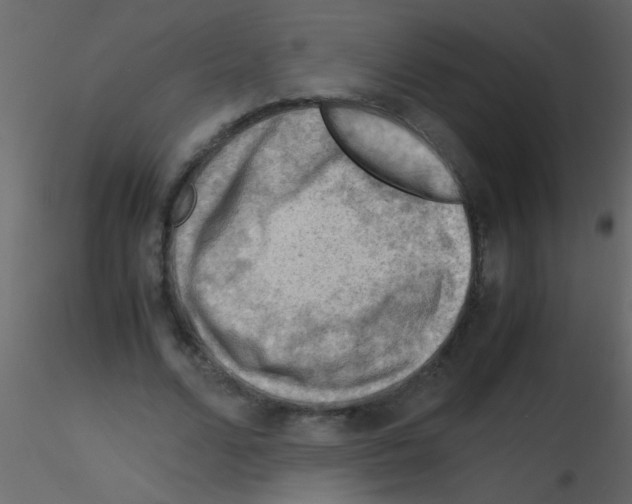 X0000115800680200912241853