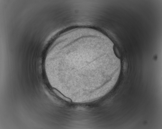 X0000115800684200912241853