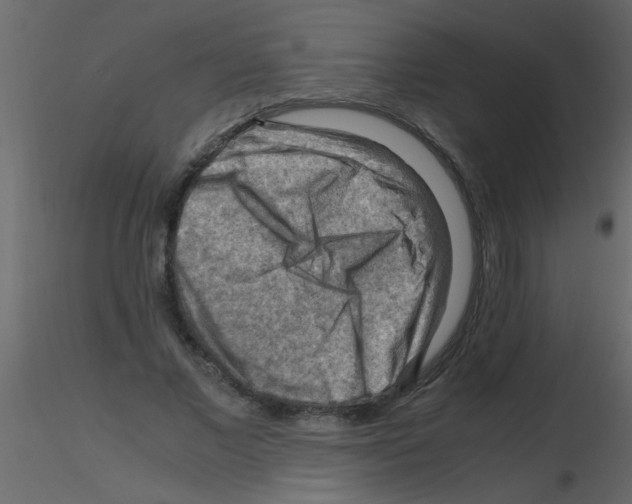 X0000115800685200912241853