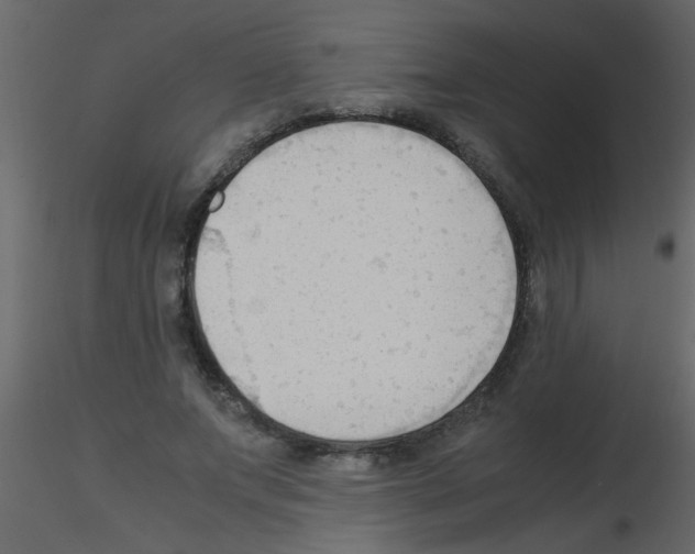 X0000115800687200912241853