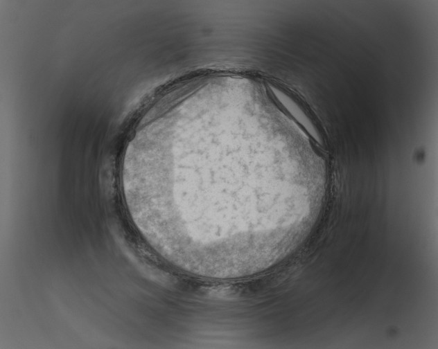 X0000115800688200912241853