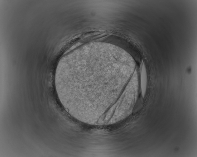 X0000115800689200912241853