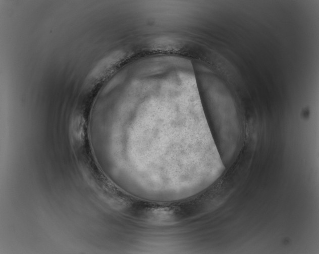 X0000115800692200912241853