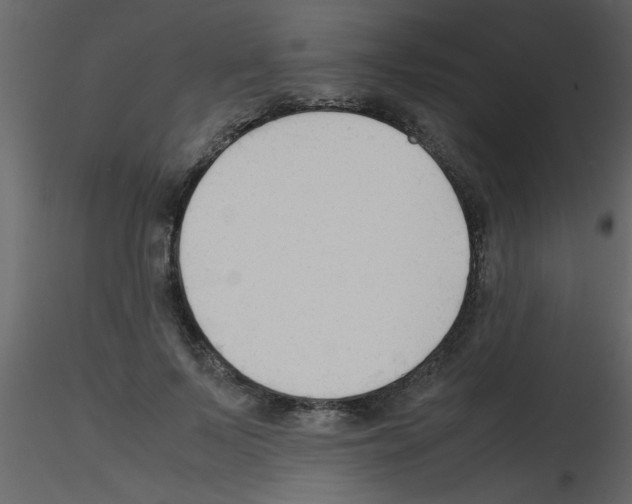 X0000115800695200912241853