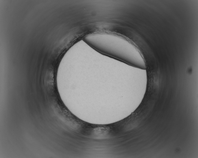 X0000115800700200912241853