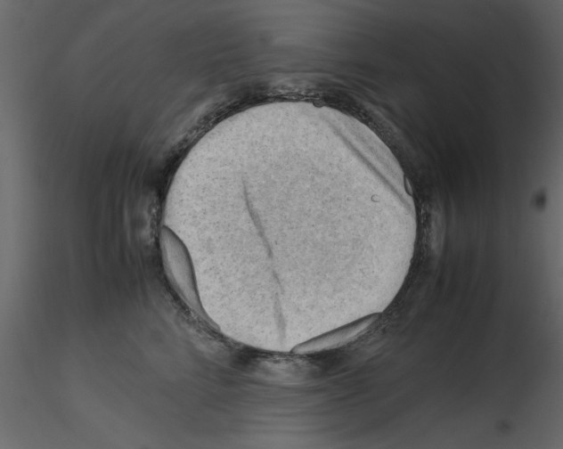 X0000115800712200912241853