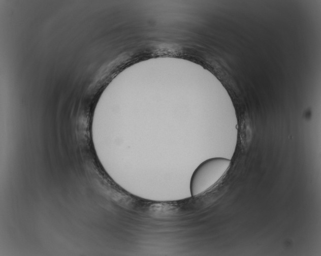 X0000115800714200912241853