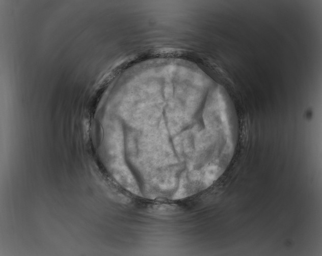 X0000115800716200912241853