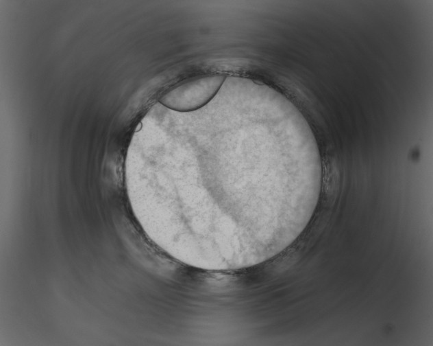 X0000115800718200912241853