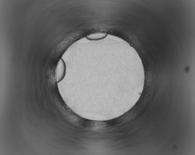 X0000115800719200912241853