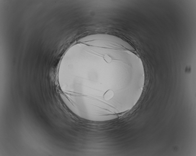 X0000115800720200912241853