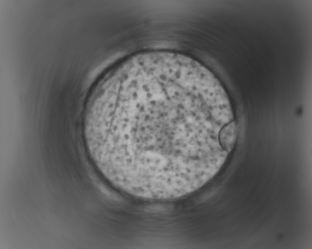 X0000115800721200912241852