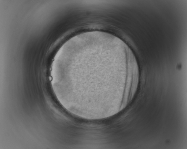 X0000115800722200912241852