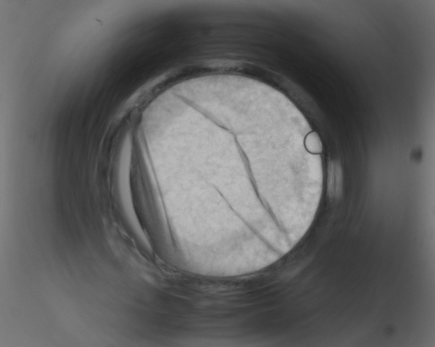 X0000115800723200912241852