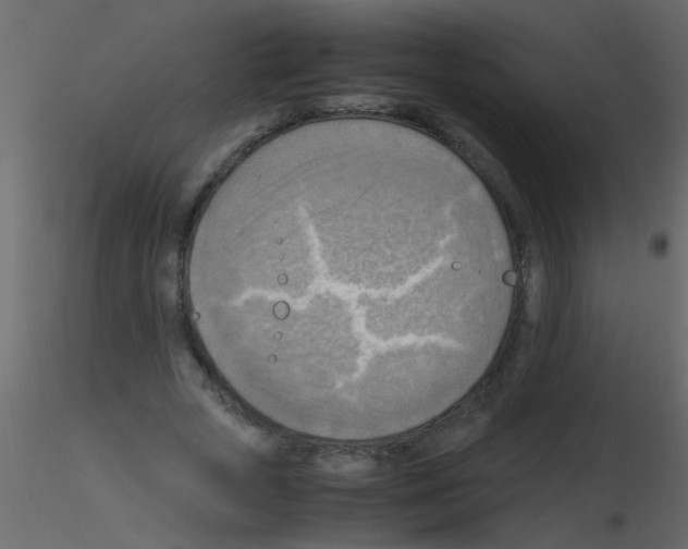 X0000115800729200912241852