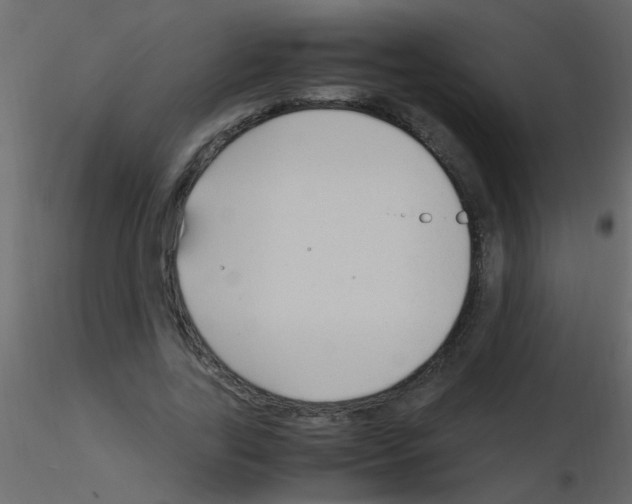 X0000115800731200912241852