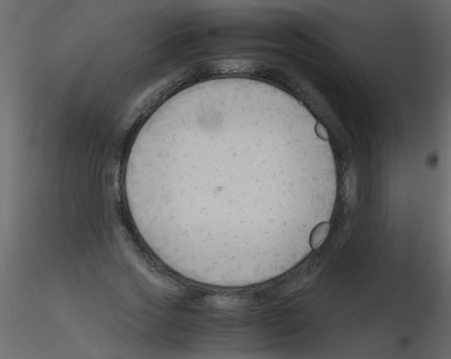 X0000115800733200912241852