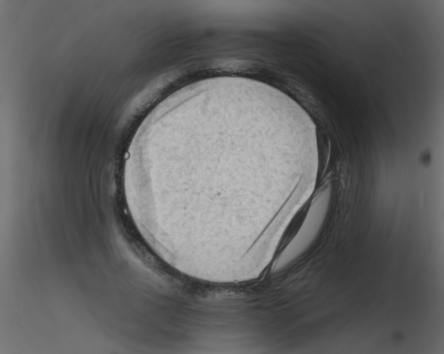 X0000115800734200912241852