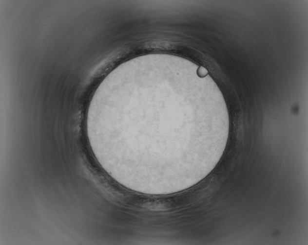 X0000115800735200912241852