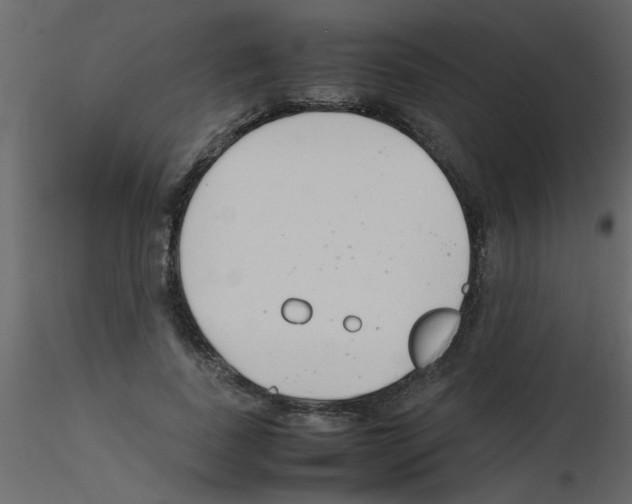 X0000115800739200912241852