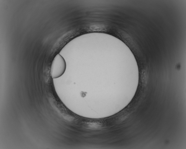 X0000115800741200912241852