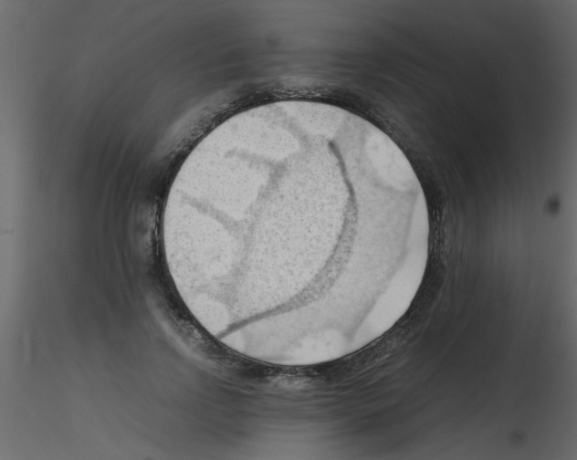 X0000115800742200912241852