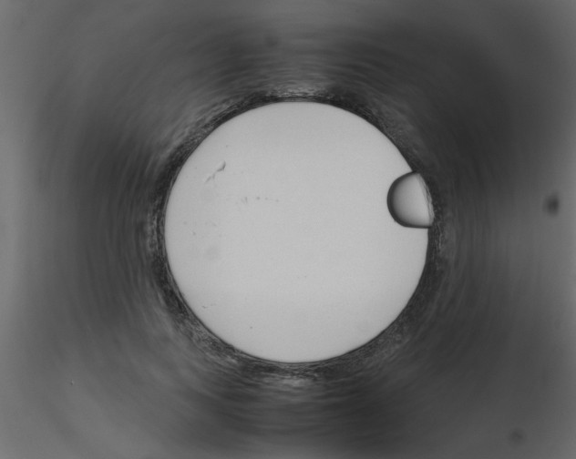 X0000115800743200912241852