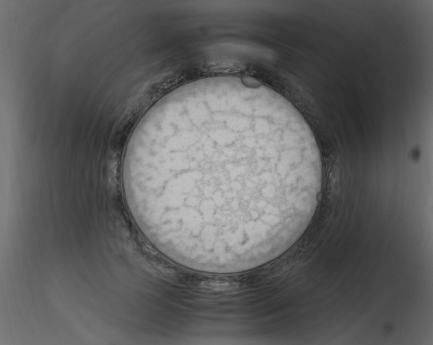 X0000115800745200912241852