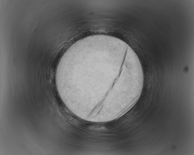 X0000115800747200912241852