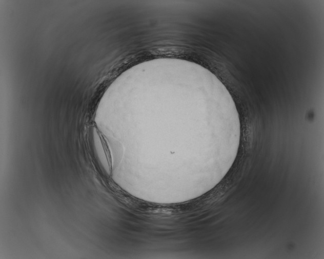 X0000115800751200912241853