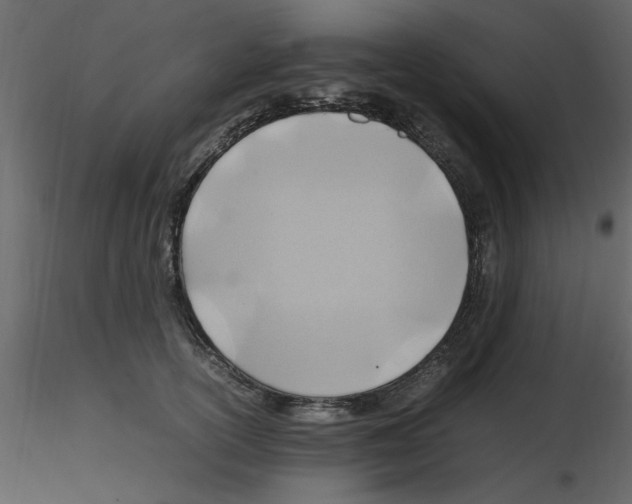 X0000115800754200912241853