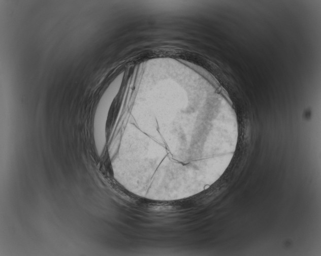 X0000115800759200912241853