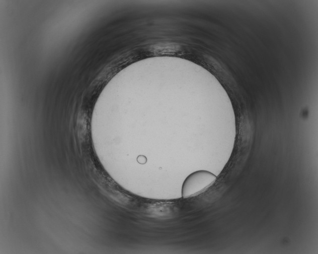 X0000115800761200912241853