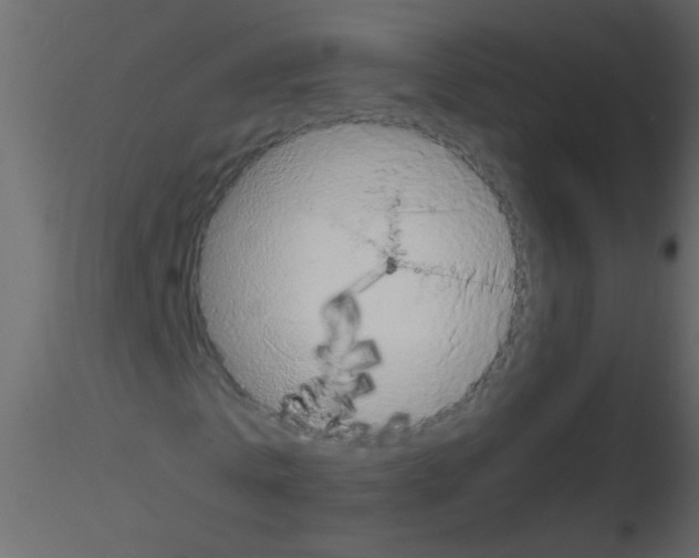 X0000115800769200912241852