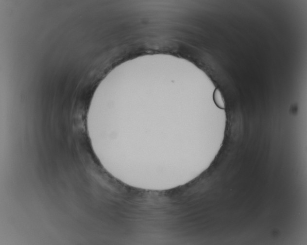 X0000115800770200912241852