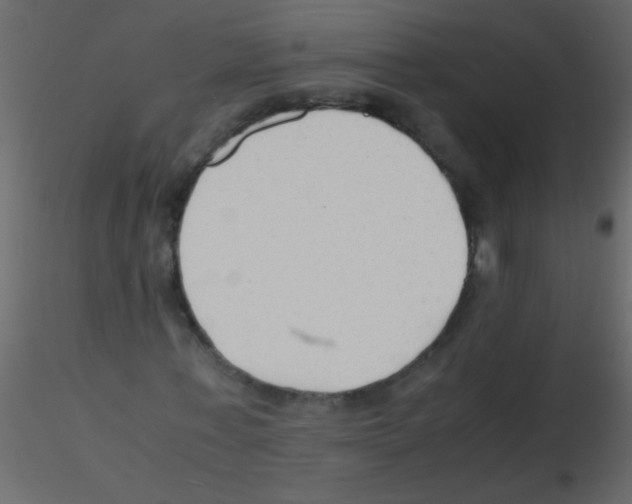 X0000115800771200912241852