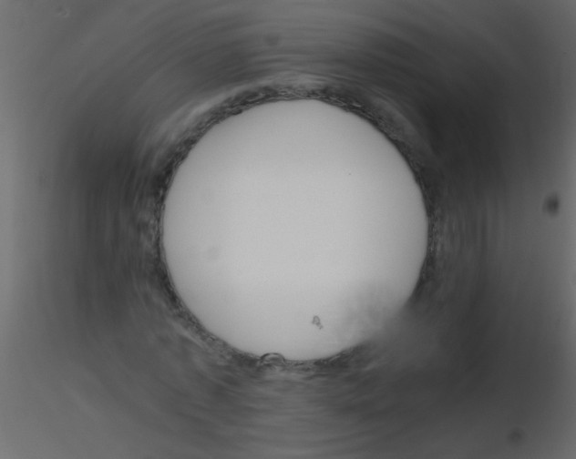 X0000115800773200912241852