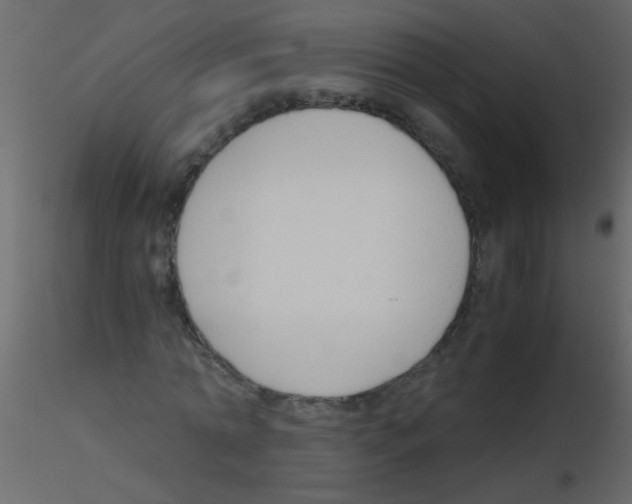 X0000115800774200912241852