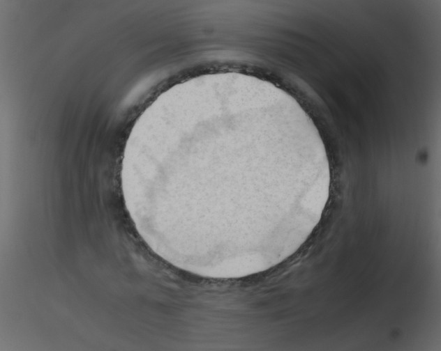 X0000115800775200912241852